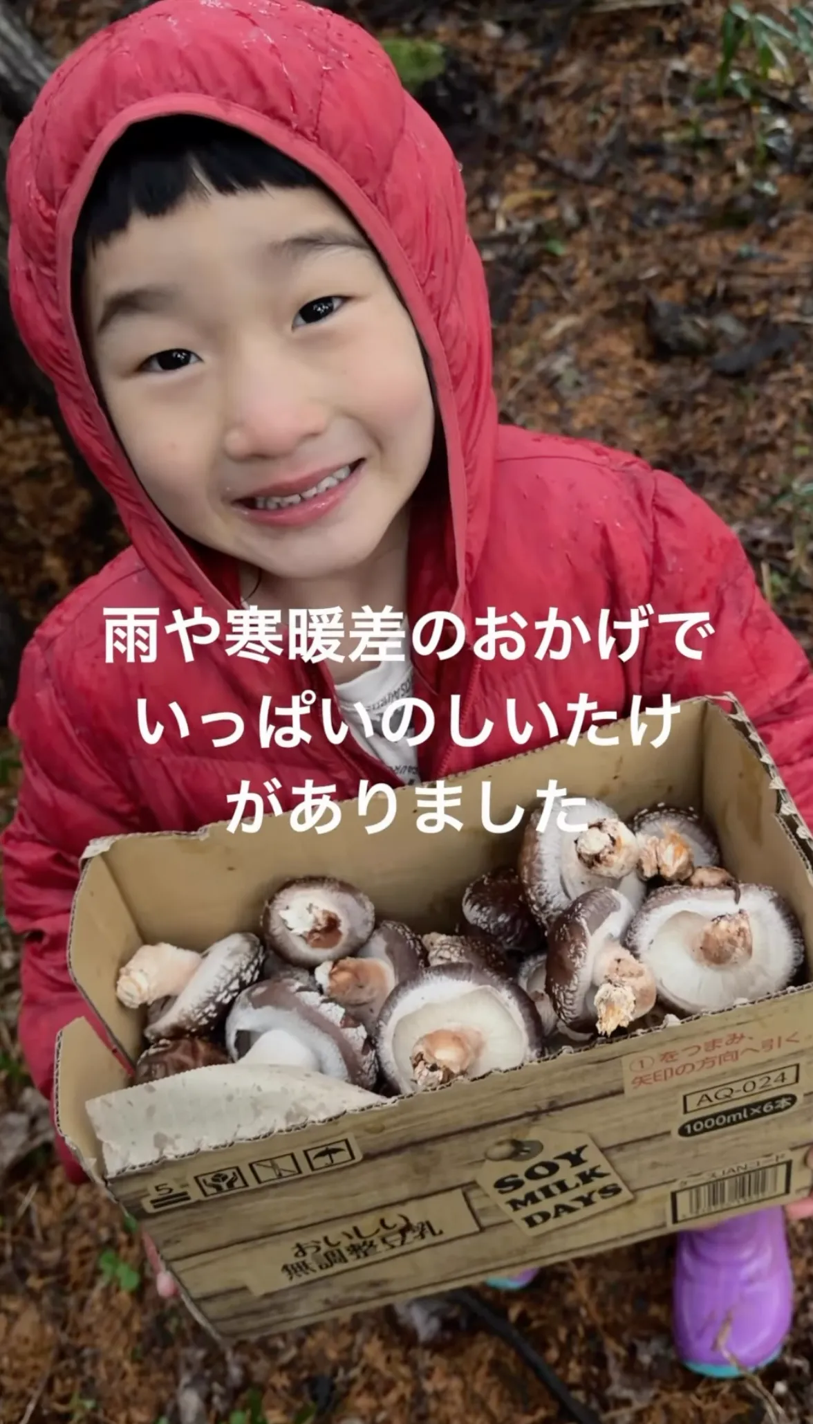薪ストーブのある暮らし】原木しいたけを収穫して、子どもたちと 